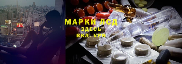 индика Балабаново