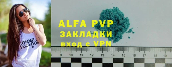 индика Балабаново