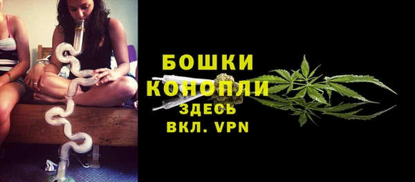 индика Балабаново