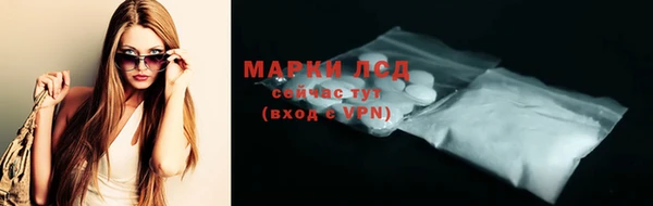 индика Балабаново
