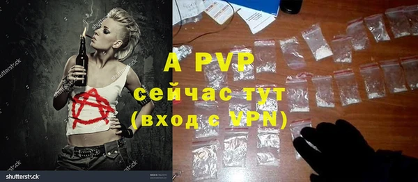 гашик Баксан