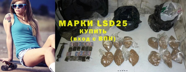 индика Балабаново