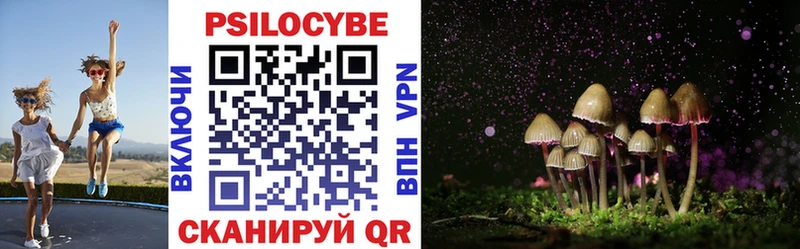 Псилоцибиновые грибы Psilocybe  наркошоп  Реутов 