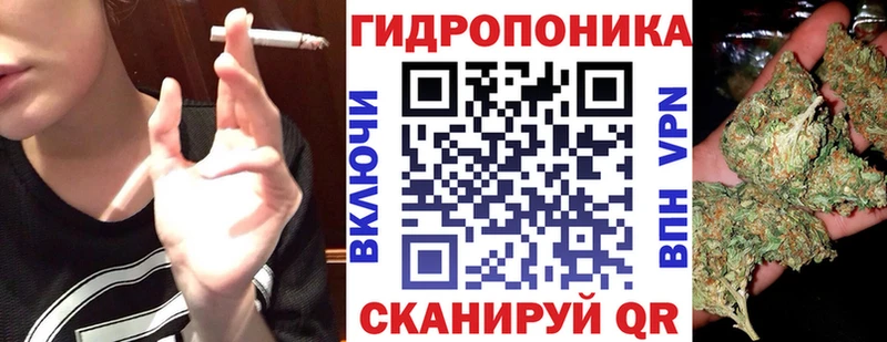 Канабис сатива  darknet состав  Реутов 